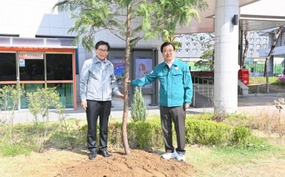 (사진1)하남시, 도심 속 녹색쉼터 ‘편백나무길’ 조성.jpg width: 100%; height : 150px
