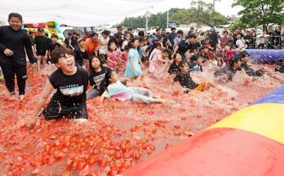 제23회 퇴촌토마토거리축제, 3일간 30만 명 방문 속 성황리 폐막 (2).jpg width: 100%; height : 150px