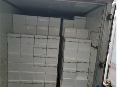 광주시, 결식 우려 아동 위한 ‘2026년 행복 두 끼 프로젝트’ 본격 추진 (3).jpg