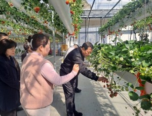 광주시 김충범 부시장, 곤지암읍 딸기 재배 농가 현장 방문 (1).jpg